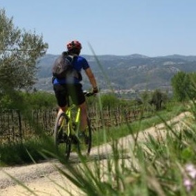 photo d'une personne en VTT lors de la découverte du vignoble à vélo entre St Guilhem le Désert et le Lac du Salagou