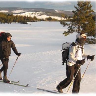 photo de 2 personnes en train de pratiquer le ski de randonnée nordique