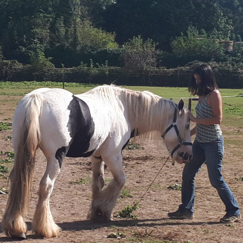 monitrice et un cheval dans l'écolieu Terres de l'être