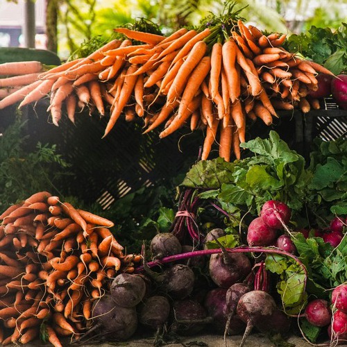 photo de carottes, navets et radis des marchés de Saint Jean du Gard