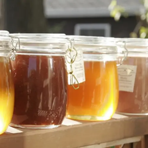 photos de pots de miel en verre des ruchers Apijouvence