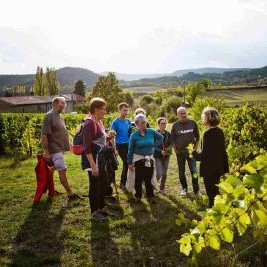 photo d'un groupe de personnes lors d'une visite du vignoble du Domaine Peylong