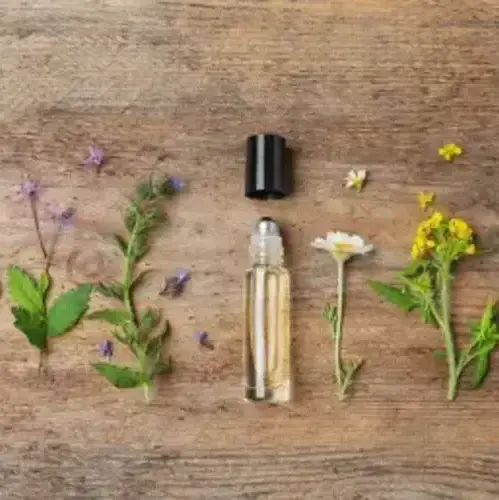 Plantes récoltées par la structure Elixirs et plantes
