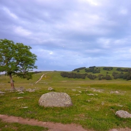 Photo d'un paysage de l'Aubrac prise lors de l'intégrale du chemin de Saint Guilhem