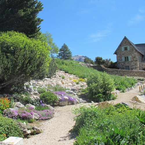 Photo du jardin du Lautaret situé au Col du Lautaret dans les Hautes Alpes